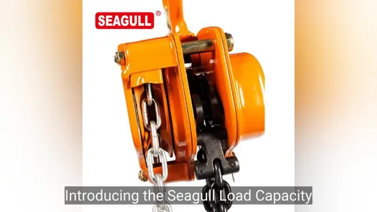 Palan à chaîne manuel Seagull, poulie pour levage par grue